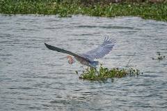 DSC_4866_web