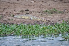 DSC_4903_web
