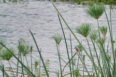 DSC_4912_web