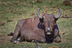DSC_5300m_web