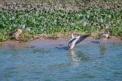 DSC_5425_web