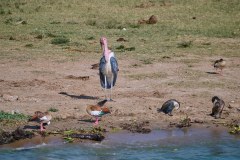 DSC_5435_web