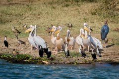 DSC_5441m_web