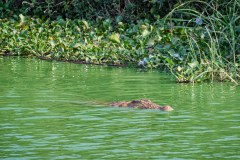 DSC_5460_web