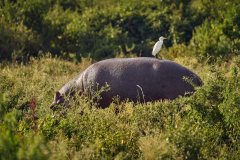 DSC_5470m_web