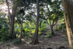 DSC_5550_web