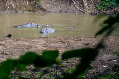 DSC_5560_web