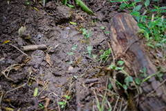 DSC_5582_web