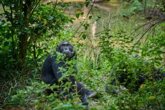 DSC_5695_web