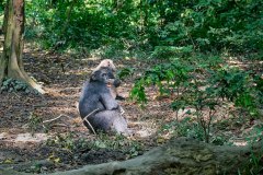 DSC_5774_web