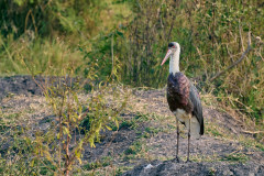 DSC_5894_web