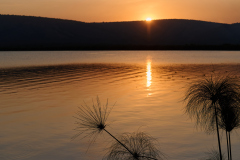 DSC_6066_web