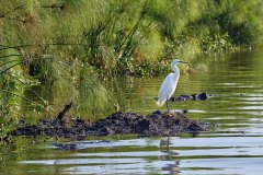 DSC_6362_web