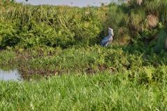 DSC_6447_web