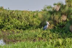 DSC_6459_web