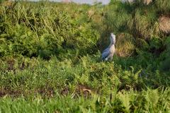 DSC_6498_web