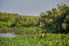 DSC_6499_web