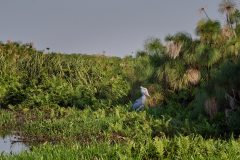 DSC_6506_web