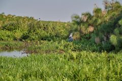 DSC_6555_web