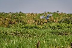 DSC_6566_web