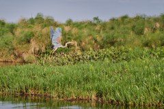 DSC_6601_web